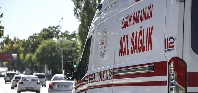 Bahçe sınırı tartışması nedeniyle komşusunu öldürüp intihar etti