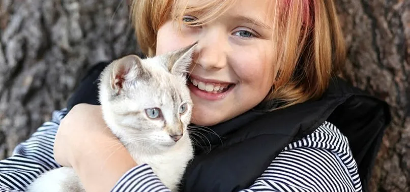 ruyada kedi gormek ne anlama geliyor kedi gormek ruya tabirleri