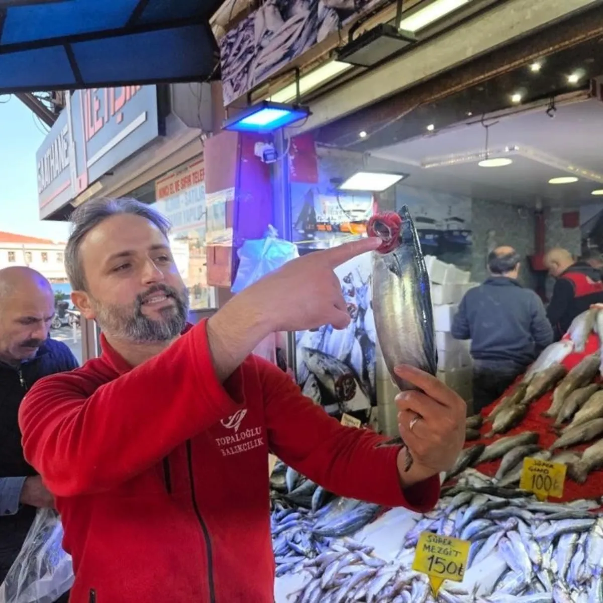 Balıkçılarda palamut alarmı!