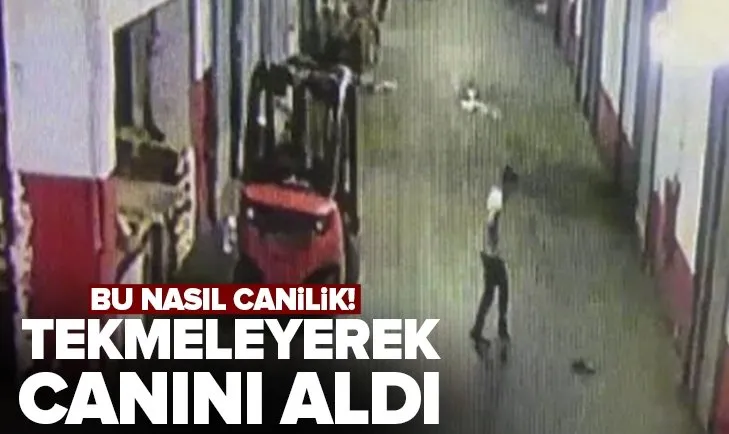 Bayrampaşa’da bir cani yavru kediyi vahşice öldürdü! O anlar kamerada