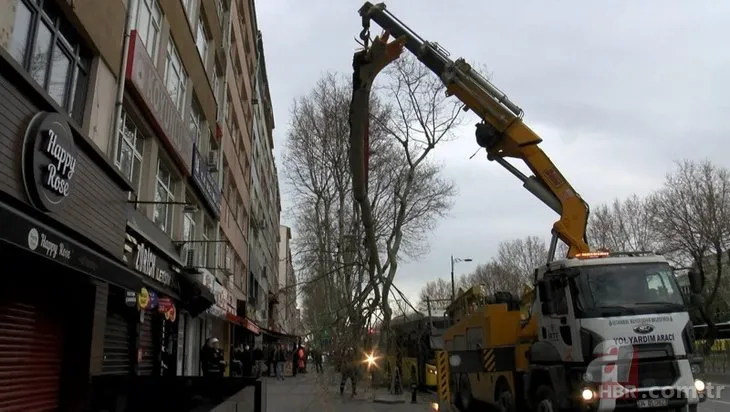 İstanbul’da bitmek bilmeyen İETT facialarına bir yenisi daha eklendi! Yol kenarındaki ağaca çarptı
