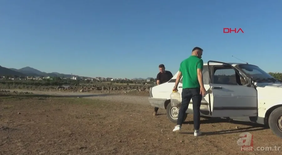 Tek ısırığı bile öldürüyor! Eve giren zehirli yılanı elleriyle yakaladı 🐍 18