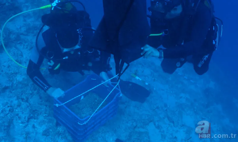 Denizin dibinden külçe külçe çıkarıldı! 3600 yıllık batıktan... 3