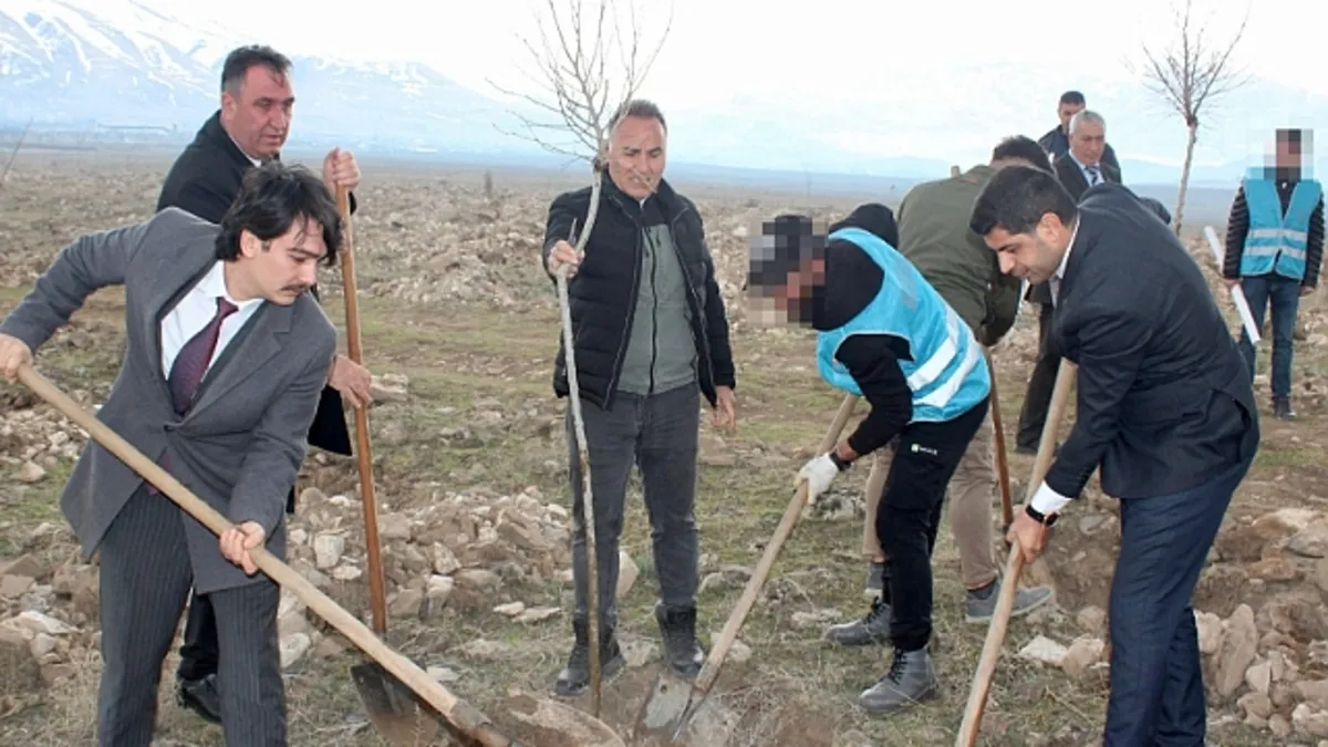 Hakkari'de fidanlar toprakla buluşturuldu