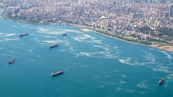 1650382937563.jpg Marmara Denizi hasta! Çevre ve Şehircilik Bakanlığı duyurdu: Oksijen azalıyor azot ve fosfor oranı artıyor - 5