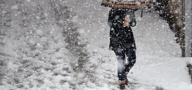 23 Mart kar tatili olan iller: Yarın hangi illerde okullar tatil? 23 Mart’ta okullar tatil mi? Iğdır, Kars, Hakkari, Bitlis...