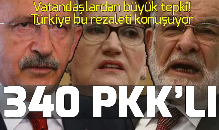 İşte Zillet İttifakının terörle bağlantılı adayları!