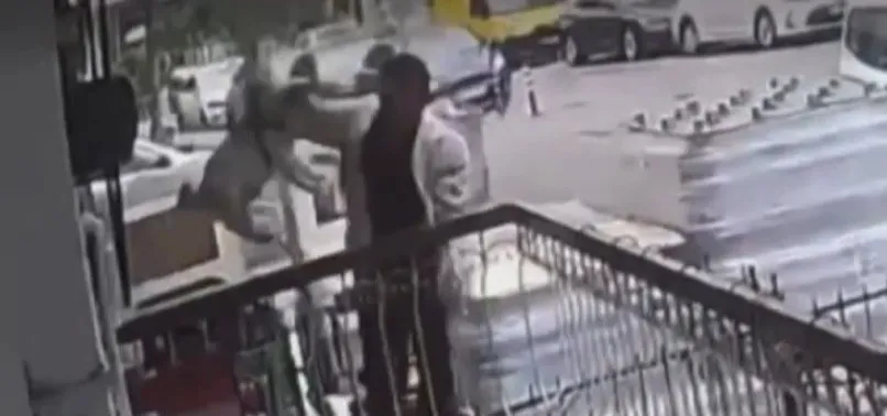 İzmir’de akılalmaz görüntü! Balkondaki köpeği çaldı