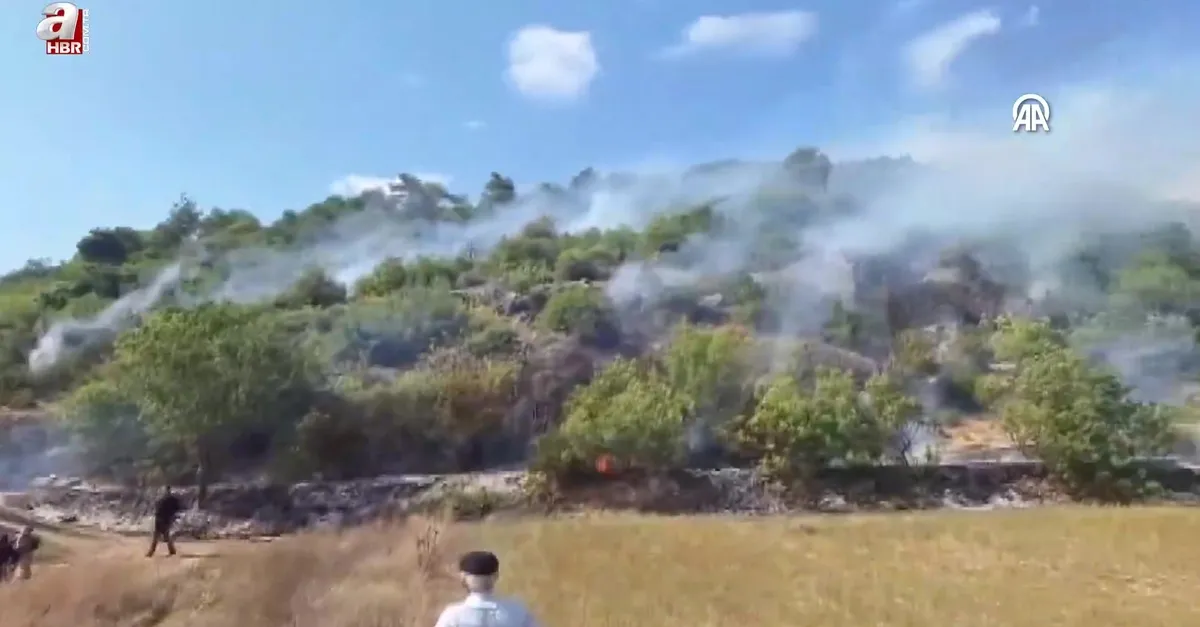Niksar ilçesinde ormanlık alanda çıkan yangın söndürüldü