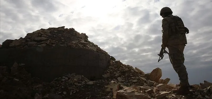 Son dakika: PKK'da çözülme büyüyor! 1 terörist daha teslim oldu