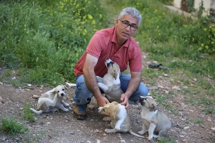 Iraklı çift evlerinin kapılarını yıllardır sokak hayvanlarına açıyor
