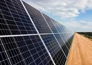 Eksim Enerji Kalyon PVden dev işbirliği!