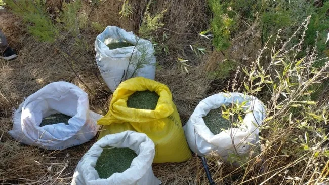 Diyarbakır'da terörün finans kaynağına darbe üzerine darbe vuruluyor - 1