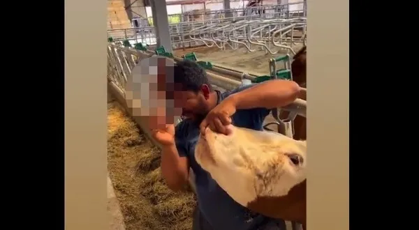 1687182089891.jpg Kurbanlık hayvana içki içirdiler! Bayrama sayılı günler kala büyük skandal! Savunması da pes dedirtti... - 5