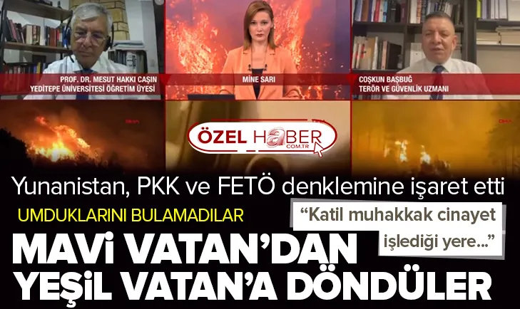Mavi Vatan’da umduğunu bulamayanlar Yeşil Vatan’a döndüler!