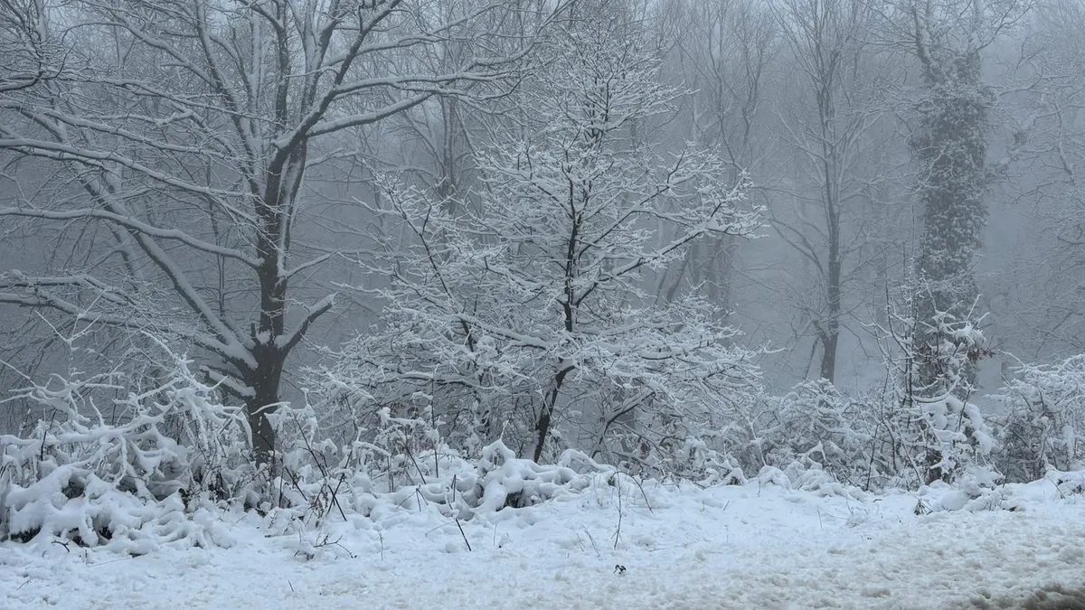 Çanakkale'nin yüksek kesimlerinde kar etkili oldu