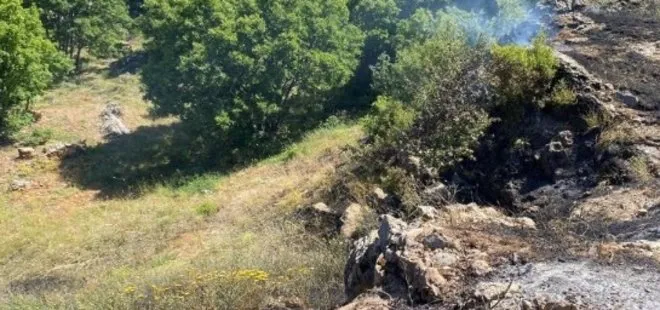 Tunceli’de yangın paniği! Korkulan olmadı alevler köye sıçramadan engellendi