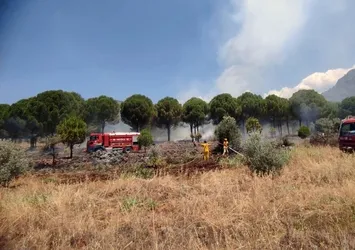 Son dakika: Muğla'da ağaçlık alanda yangın!