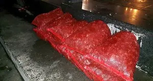 Zehir saçıyorlardı! Hepsi toplandı...