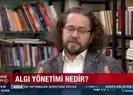Ninja Kaplumbağalar ve Türkiyedeki pizza kültürü!