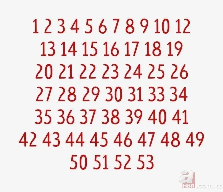 Bu zeka testi sosyal medyayı sallıyor! Detayları fark etmekte ne kadar dikkatlisiniz? 16