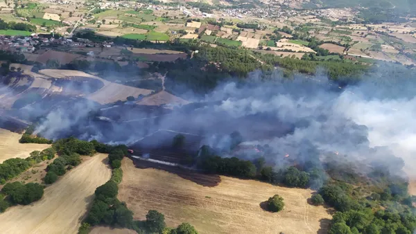 Çanakkale'de çıkan orman yangınına müdahale ediliyor - 1