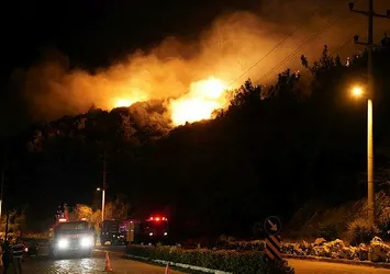Muğla'daki orman yangınının faili yakalandı