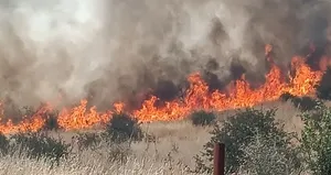 Batman’da orman yangını kontrol altına alındı