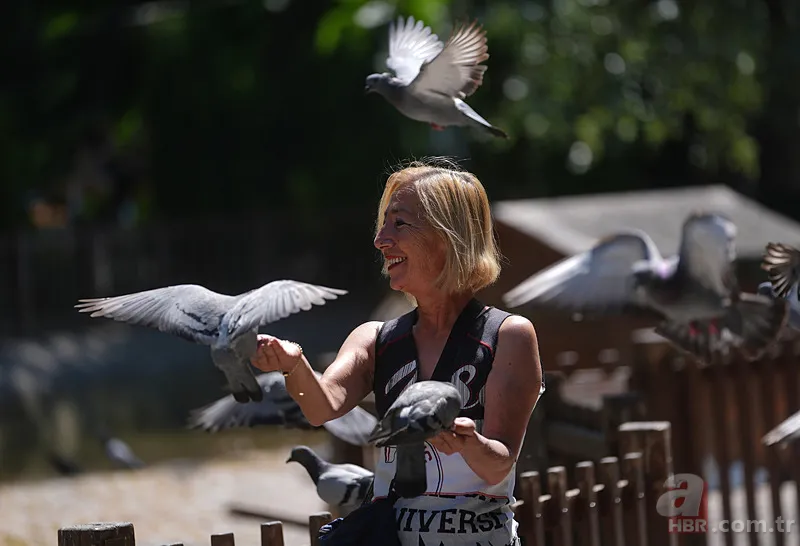 MGM'den tehlikeli sıcak hava uyarısı: 2 gün boyunca nemle birlikte etkisi pik yapacak! Gölgeye kaç, bu saatlerde sakın çıkma 5