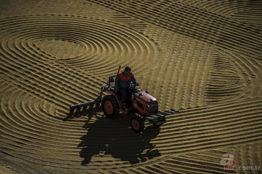 Güneydoğu bulguru 88 ülkeye satıldı 9