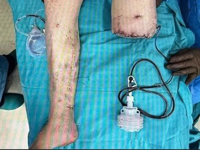 1735447029502.jpeg Savcı, köpeğin sahibine ve bakıcısına 2 yıla kadar hapis cezası istedi (Sabah)