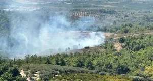 Kuşadası’nda orman yangını