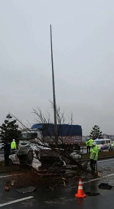 Kütahya'da otomobil önce ağaca sonra direğe çarptı: Ölü ve yaralılar var - 3