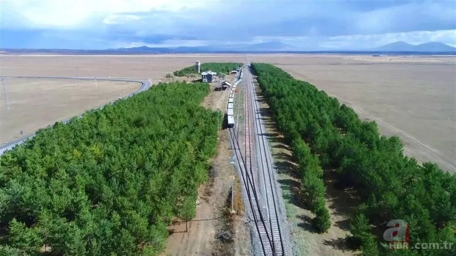 Bozkırın ortasında yemyeşil doğa! Hayran bırakan görüntüler 17