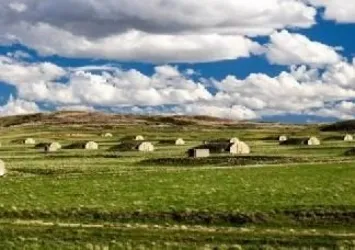 Koronavirüse karşı ABD’lilerin sığınakları