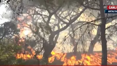Antalya’da korkutan orman yangını