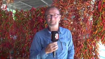 Karaağaç biberinde kurutma mesaisi