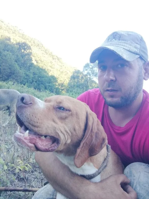 bursada-20-bin-tllik-kopegi-calinan-vatandas-bulana-kuzu-hediye-edecegim-1667803621338.jpg Bursa’da 20 bin TL’lik köpeği çalınan vatandaş: Bulana kuzu hediye edeceğim - 3
