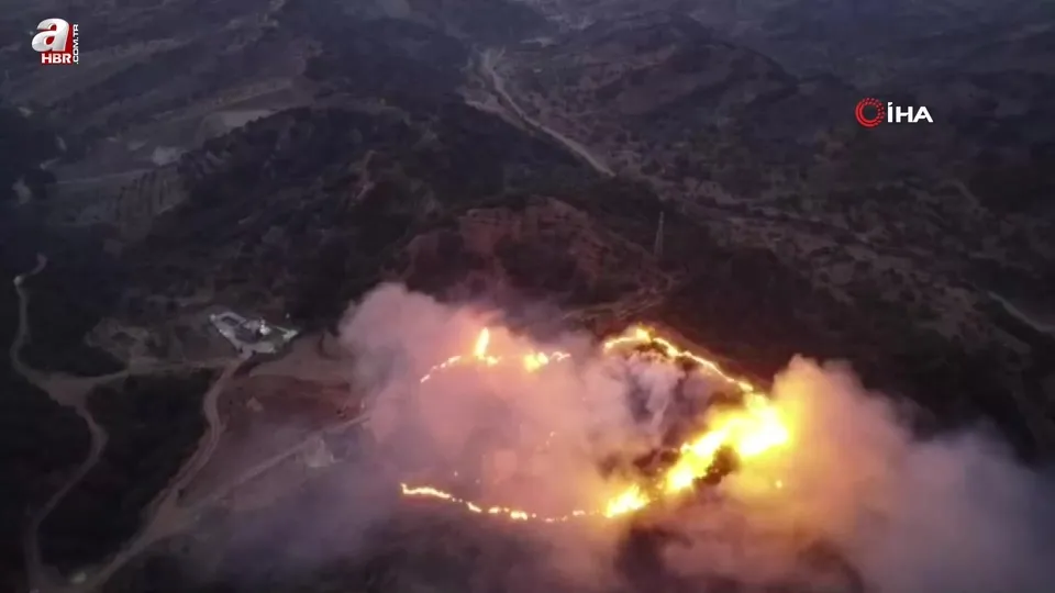 Keneyi yakmak isterken ormanı yaktı