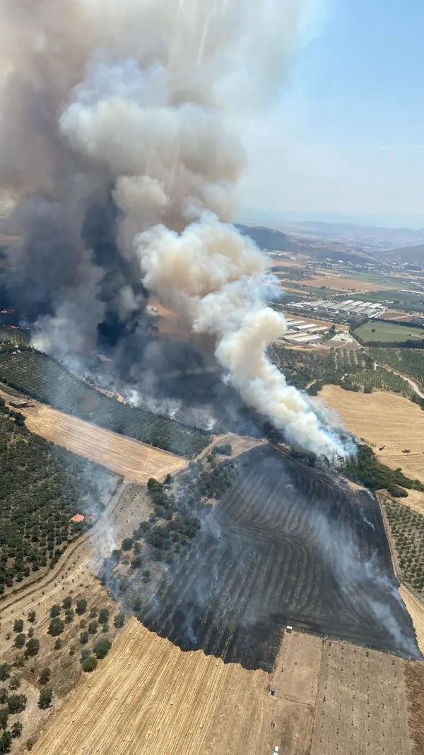 Son dakika | İzmir Foça'da korkutan orman yangını! Ekipler bölgede! Havadan karadan müdahaleyle kontrol altına alındı - 3