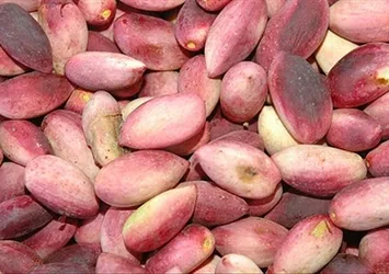 Günde 1 avuç antep fıstığı yemek bakın ne işe yarıyor...