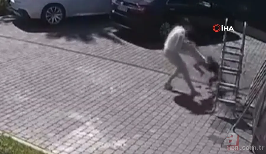 Maymun böyle kaçırdı! Halk seferber oldu 16