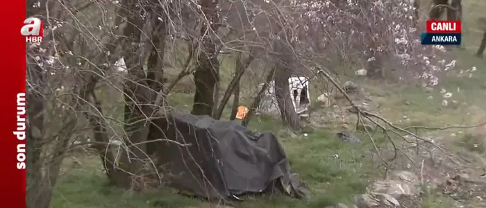 Son dakika: Yine Ankara yine köpek katliamı! - 4