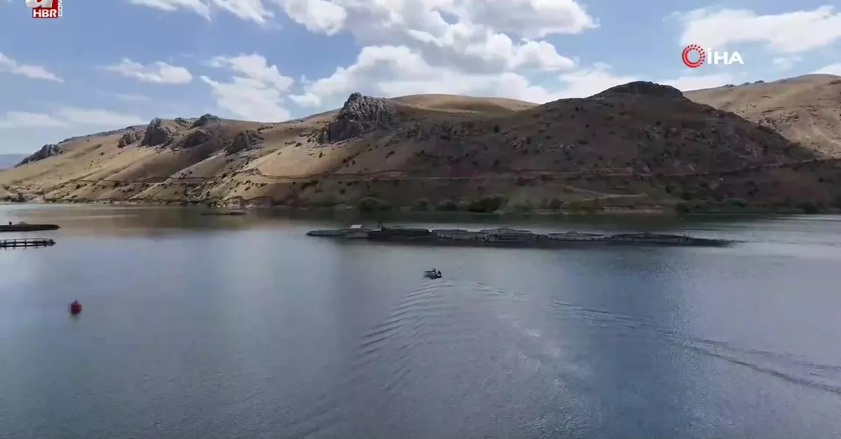 Kar suyu ve yağmur barajlara bereket oldu