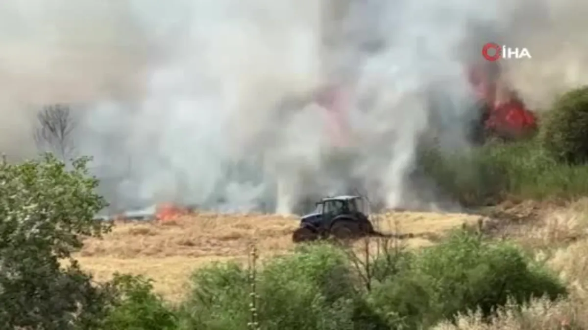 Diyarbakır’da 300 dönüm ekili buğday yandı