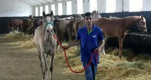 Şampiyon taylardan 22 milyon lira