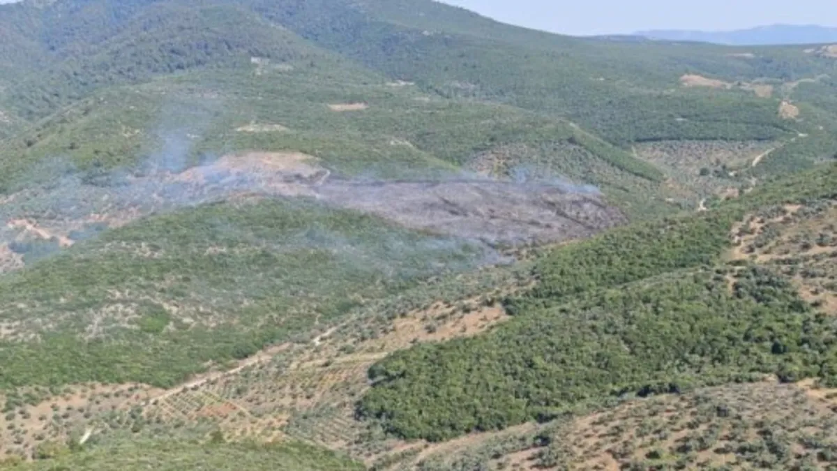 İzmir Torbalı'da orman yangını! 7 saat sonra kontrol altında | Bakan Yumaklı bilgi aldı