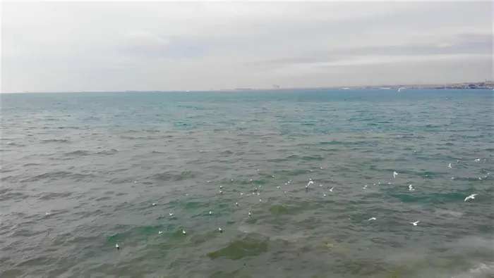 Son dakika: Kadıköy’de İSKİ rezaleti: Arıtma tesisinden bırakılan su denizin rengini değiştirdi! Havadan böyle görüntülendi