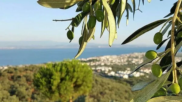 CHP'li belediye doğayı talan edecek! Rant için AVM olacak - 2