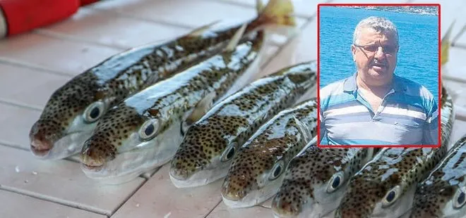 Son dakika: Balon balığı yiyen Muhammer Kaptan öldü! 4 denizci hastanelik oldu